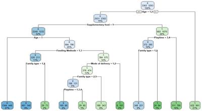 Development of gross motor skills in children under the age of 3 years: a decision tree approach